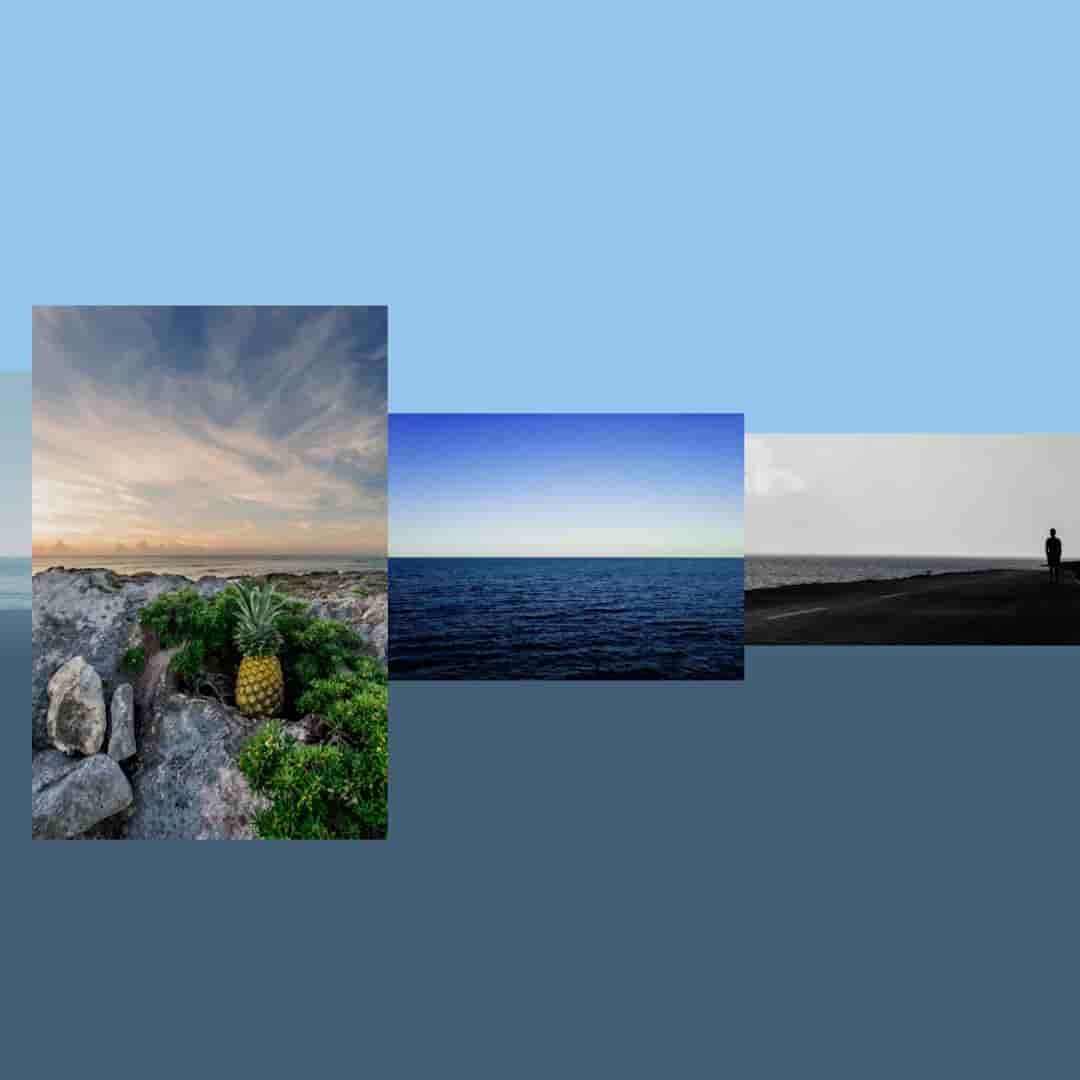 Cover image for Aligned Waters